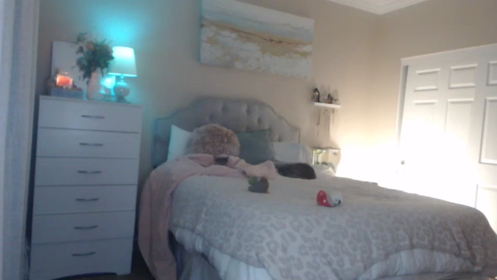 Gallery image thumbnail from Queen_bambii's myfreecams stream on, 02/24/2024, 07:37 image 14 of 20