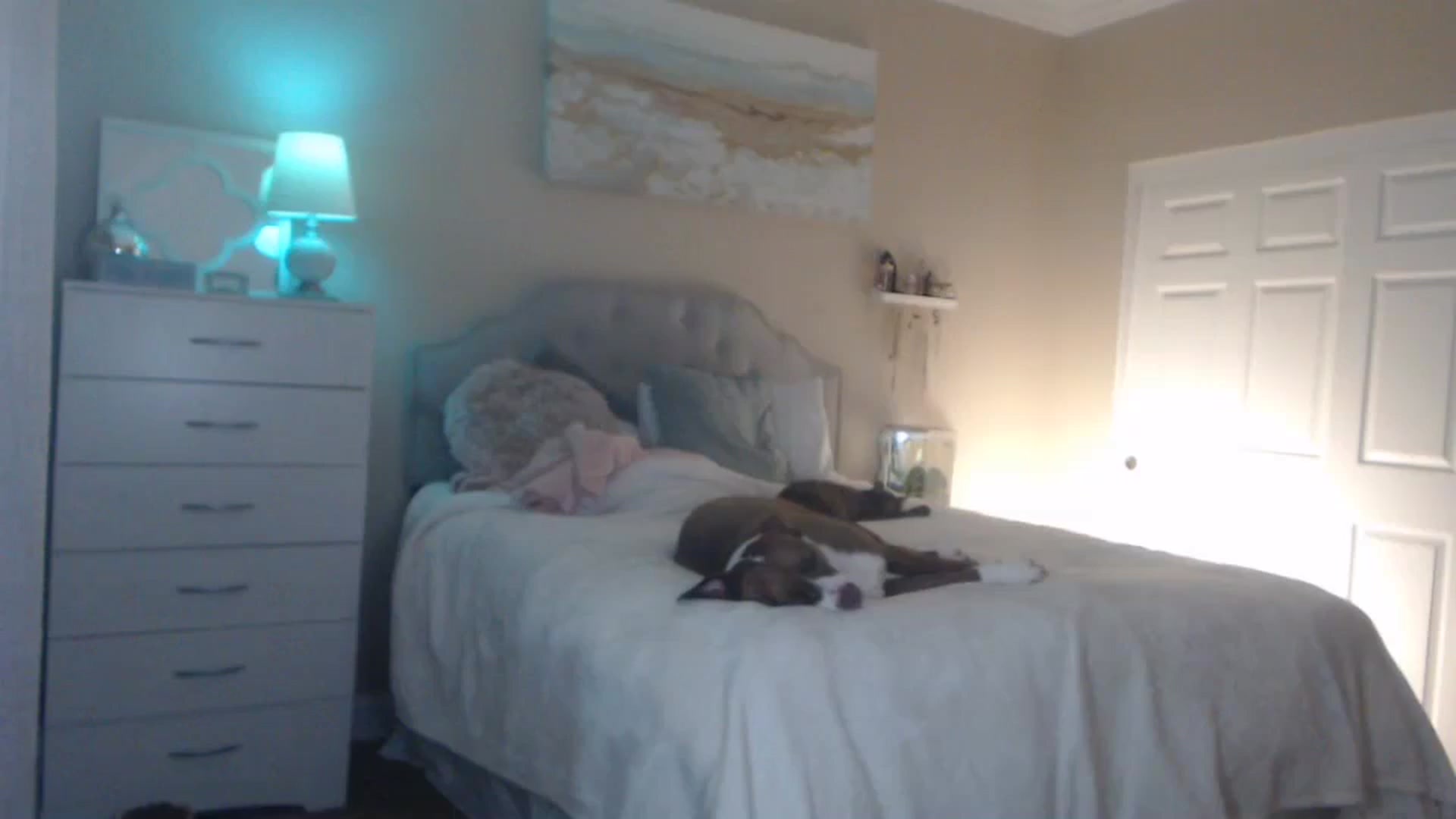 Gallery image thumbnail from Queen_bambii's myfreecams stream on, 03/05/2024, 06:57 image 9 of 20