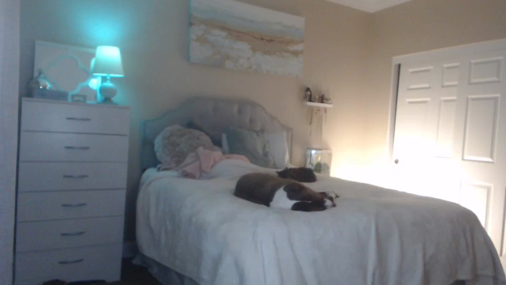 Gallery image thumbnail from Queen_bambii's myfreecams stream on, 03/05/2024, 06:57 image 17 of 20
