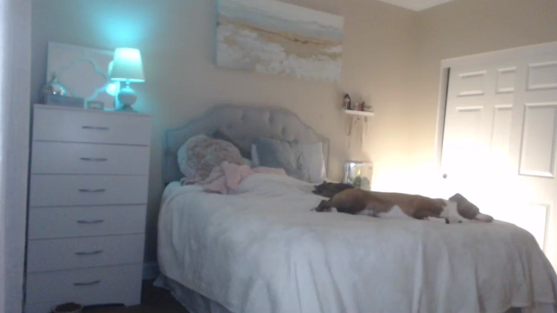 Gallery image thumbnail from Queen_bambii's myfreecams stream on, 03/05/2024, 07:37 image 15 of 20