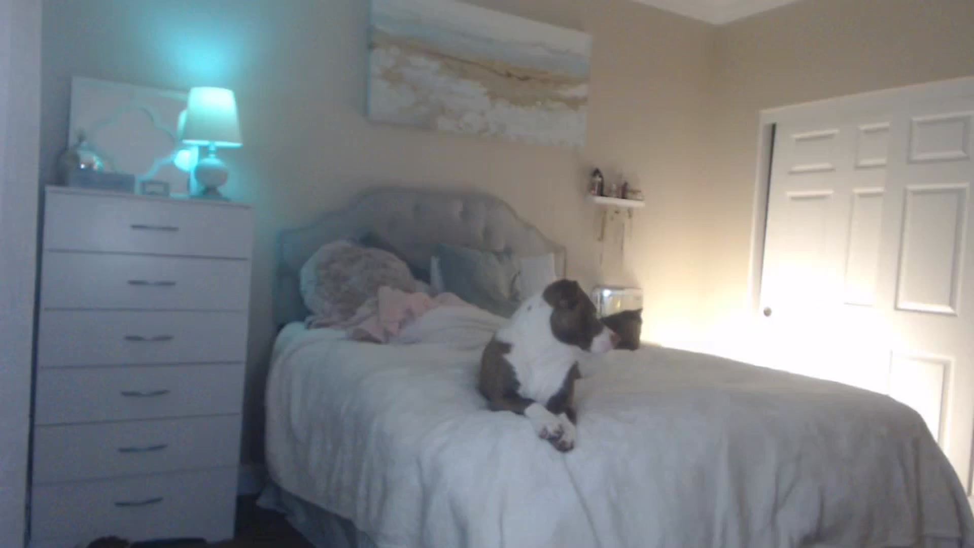Gallery image thumbnail from Queen_bambii's myfreecams stream on, 03/05/2024, 08:26 image 12 of 20