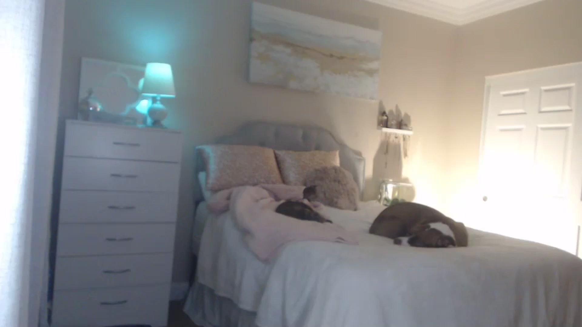 Gallery image thumbnail from Queen_bambii's myfreecams stream on, 03/10/2024, 08:11 image 15 of 20