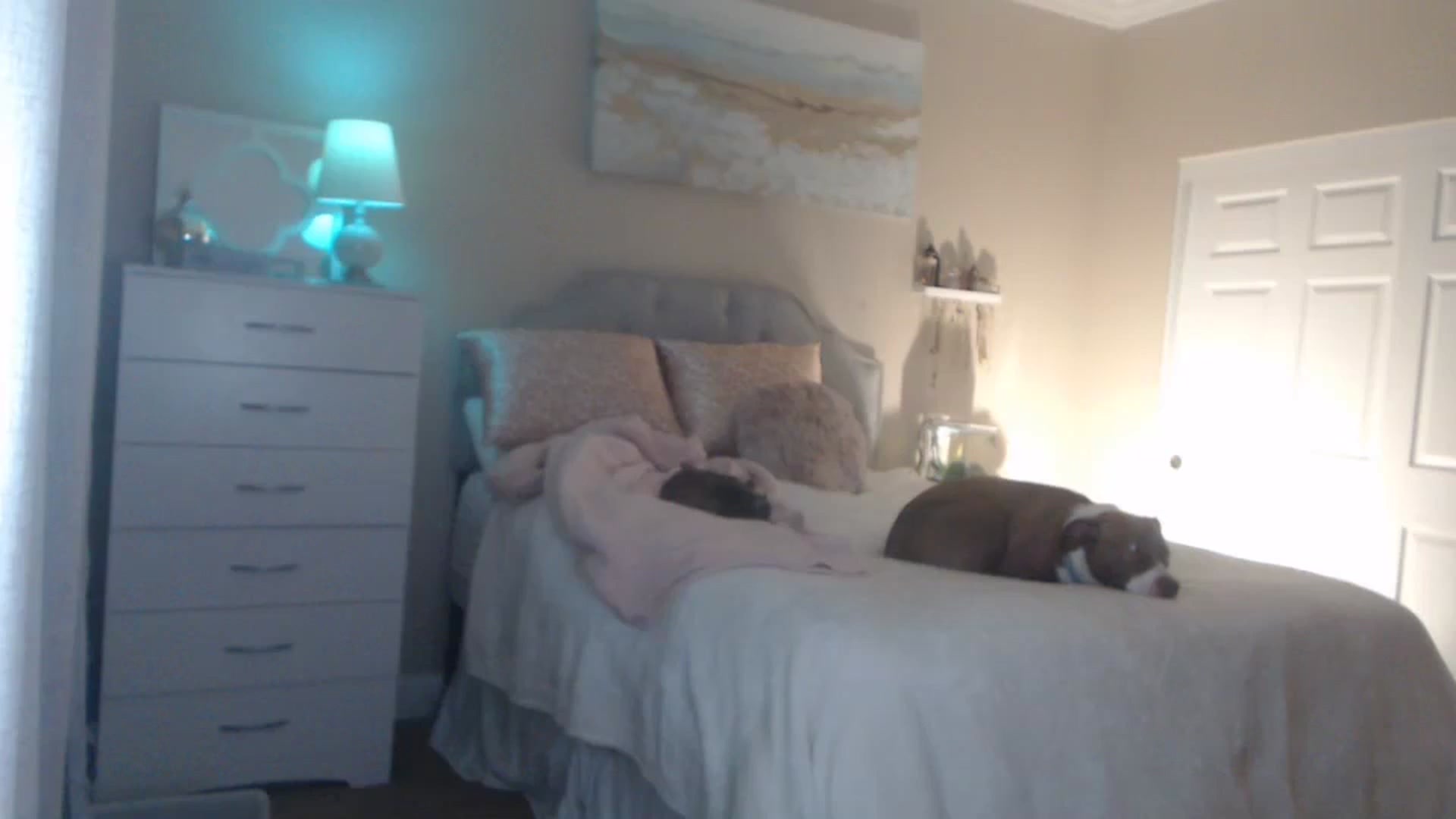 Gallery image thumbnail from Queen_bambii's myfreecams stream on, 03/10/2024, 08:11 image 5 of 20
