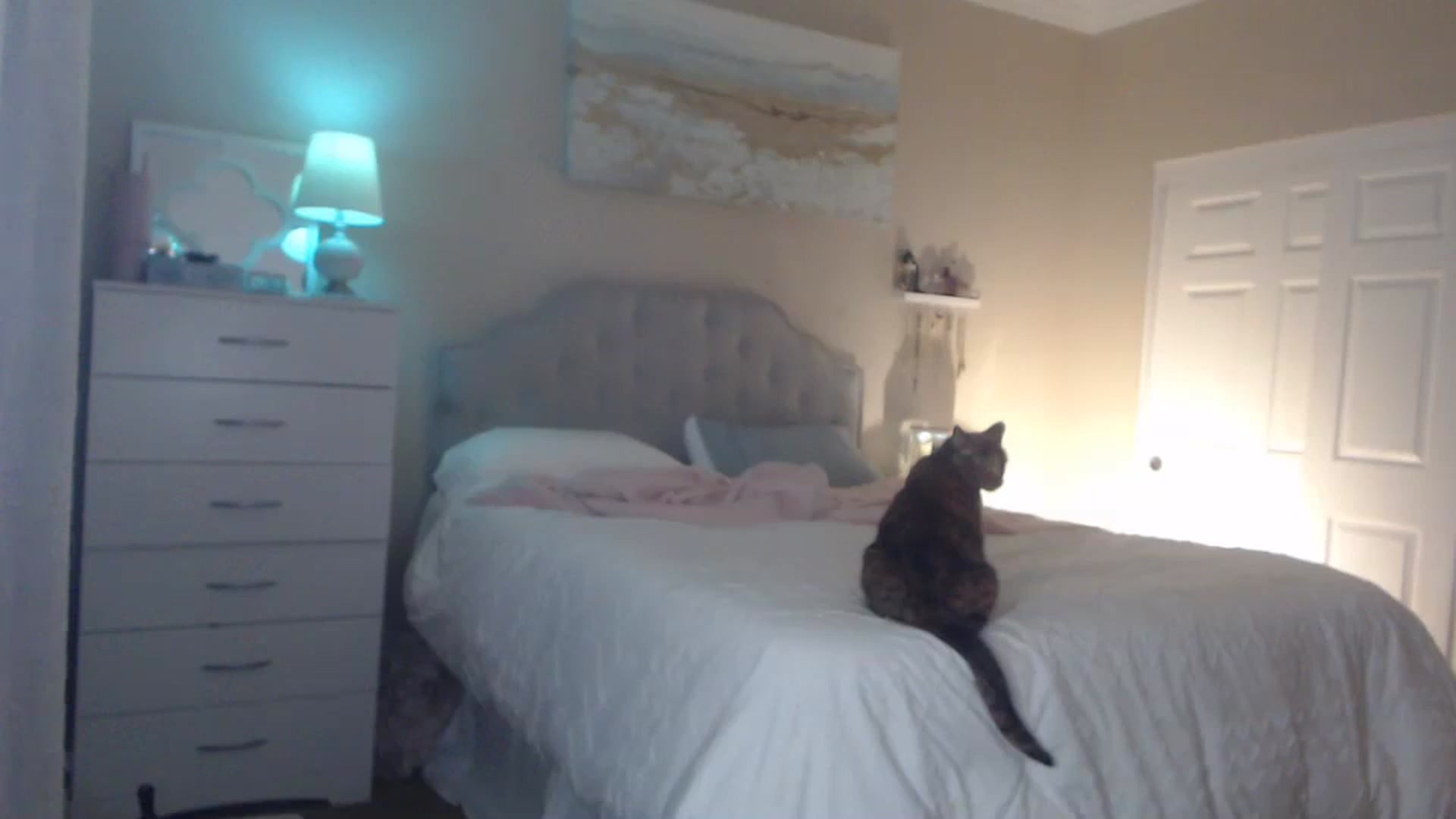 Gallery image thumbnail from Queen_bambii's myfreecams stream on, 04/02/2024, 06:06 image 12 of 20