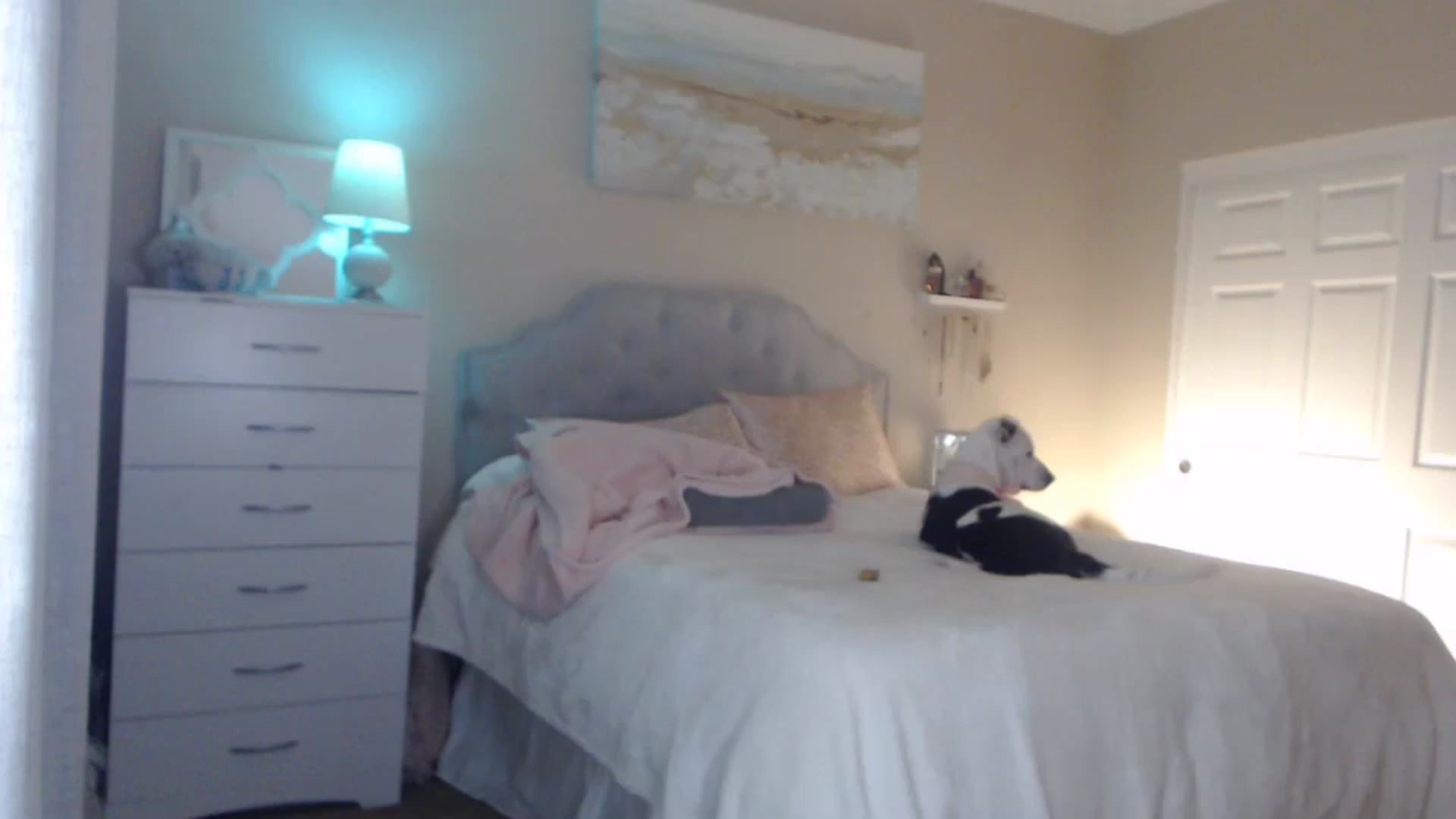 Gallery image thumbnail from Queen_bambii's myfreecams stream on, 04/11/2024, 05:59 image 2 of 20