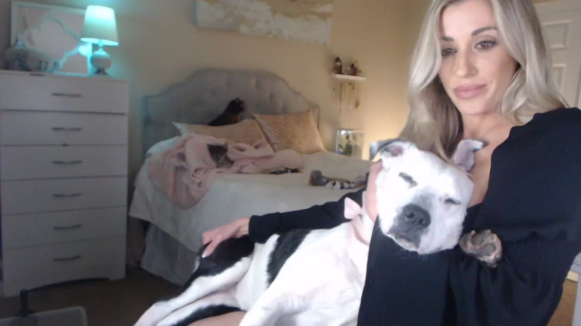 Gallery image thumbnail from Queen_bambii's myfreecams stream on, 04/11/2024, 08:01 image 13 of 20