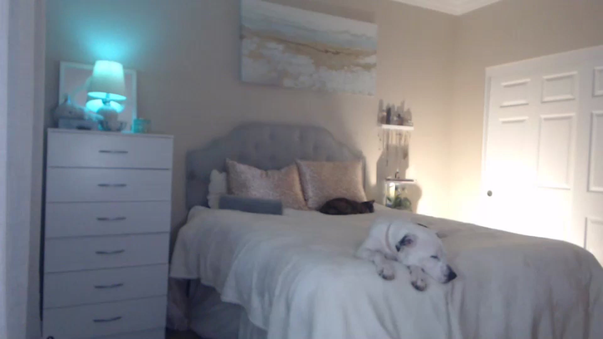 Gallery image thumbnail from Queen_bambii's myfreecams stream on, 04/18/2024, 06:16 image 16 of 20