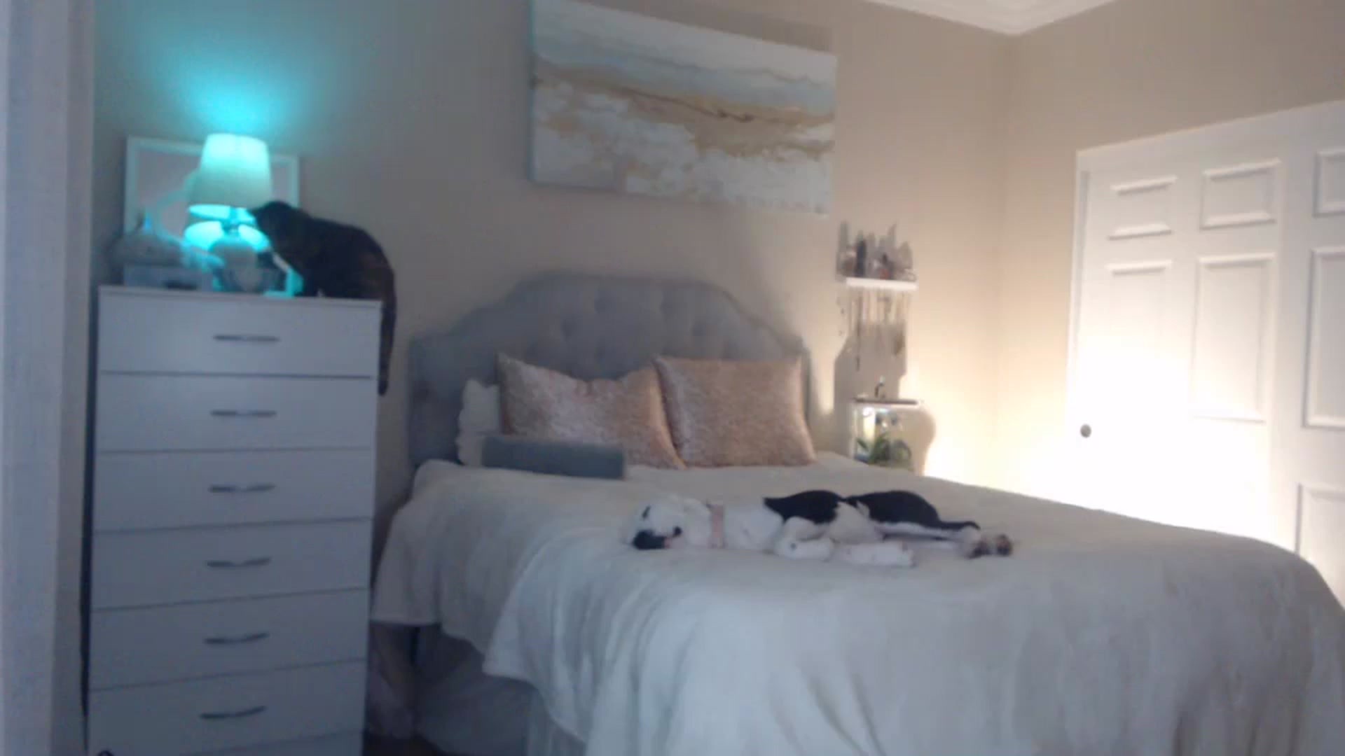 Gallery image thumbnail from Queen_bambii's myfreecams stream on, 04/18/2024, 06:16 image 8 of 20