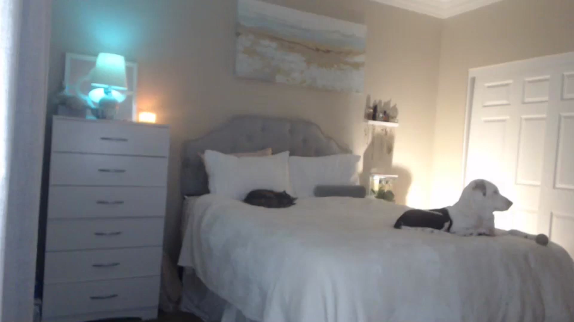 Gallery image thumbnail from Queen_bambii's myfreecams stream on, 04/24/2024, 07:03 image 2 of 20