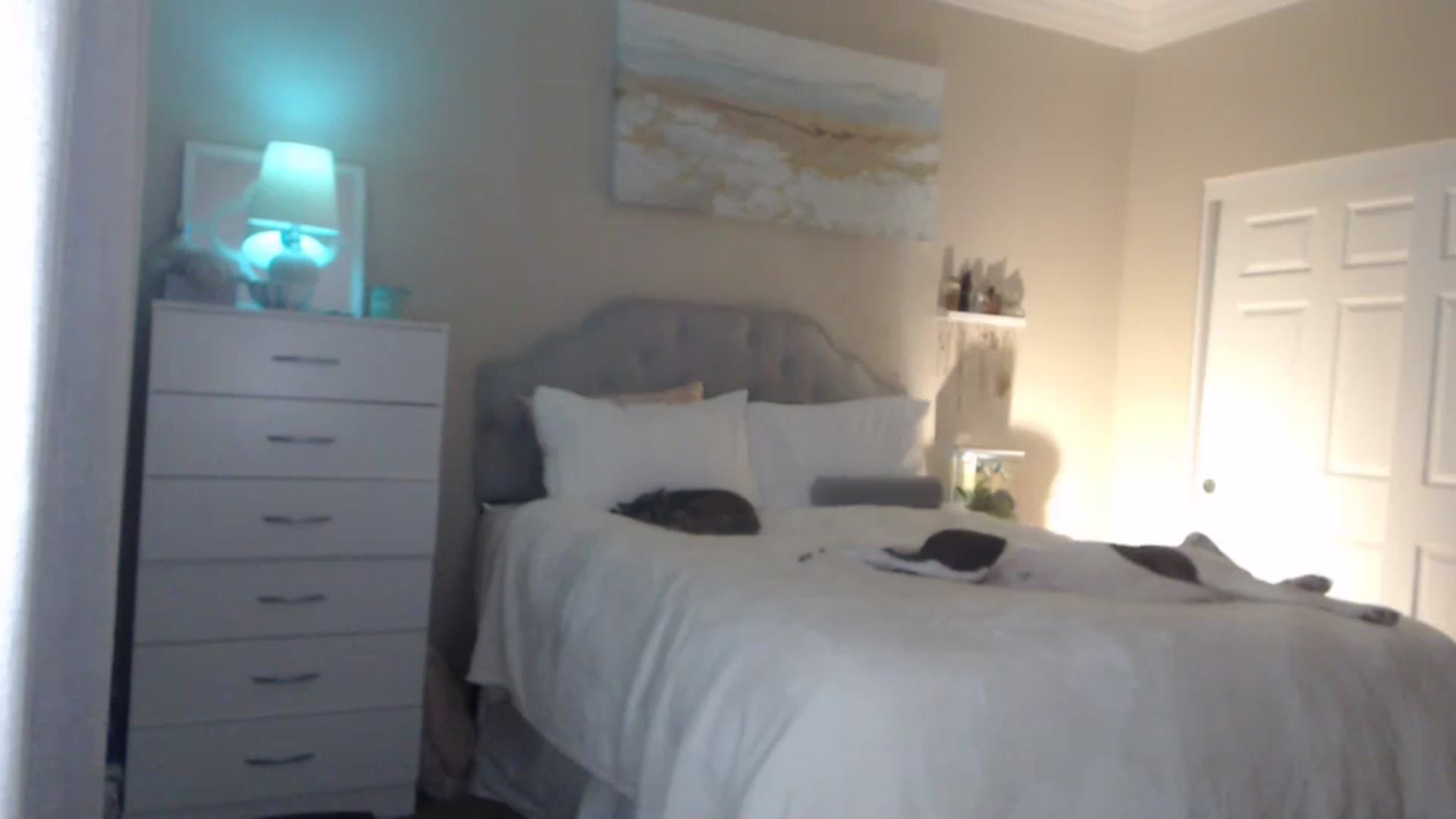 Gallery image thumbnail from Queen_bambii's myfreecams stream on, 04/24/2024, 07:03 image 16 of 20
