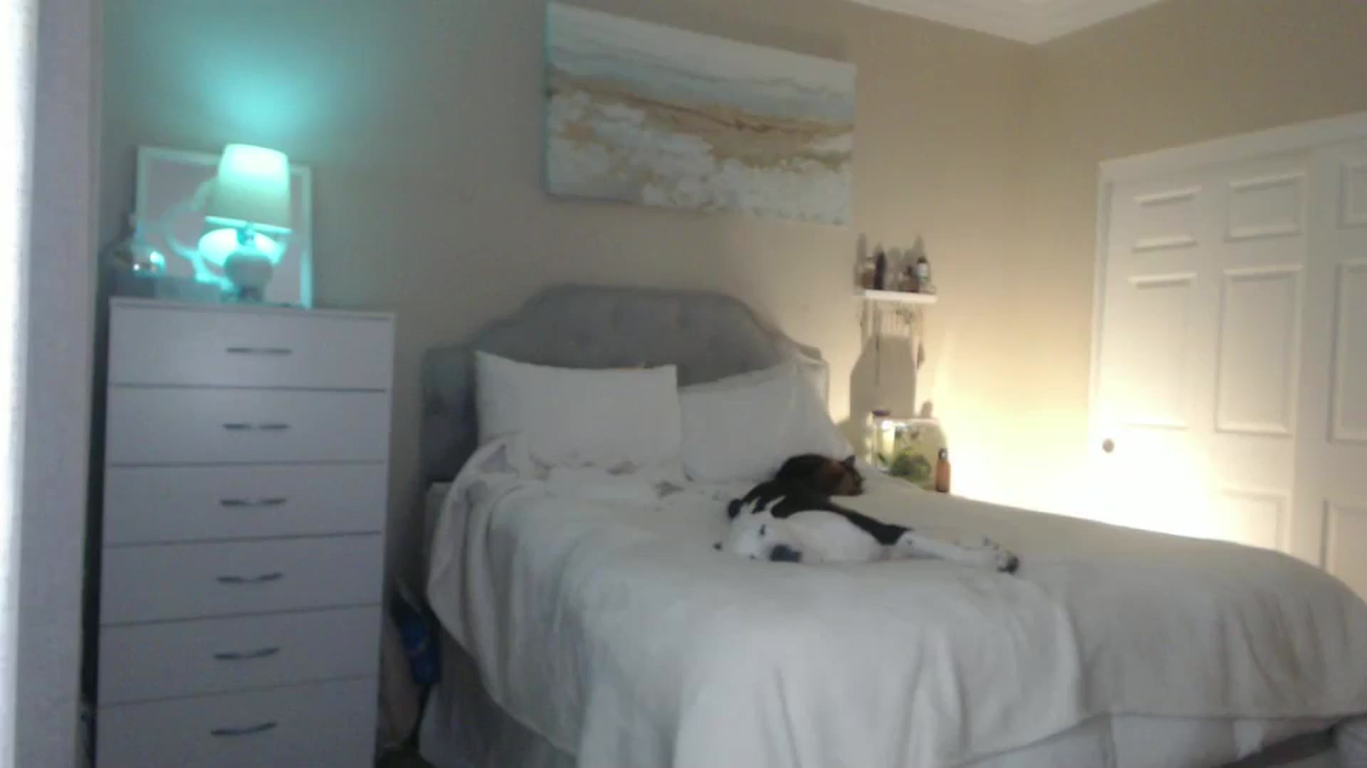 Gallery image thumbnail from Queen_bambii's myfreecams stream on, 05/03/2024, 06:38 image 15 of 20