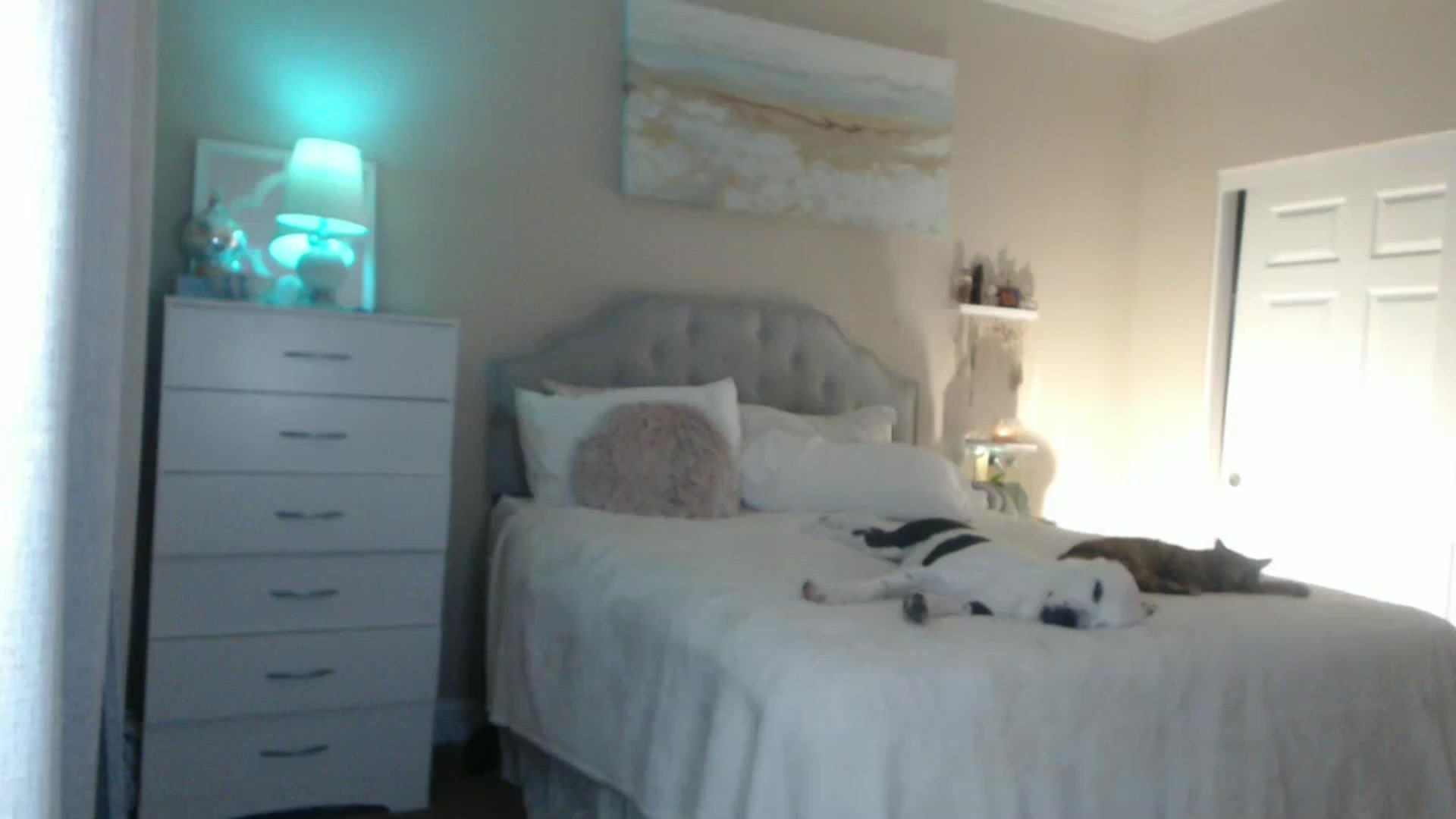Gallery image thumbnail from Queen_bambii's myfreecams stream on, 05/10/2024, 07:43 image 14 of 20