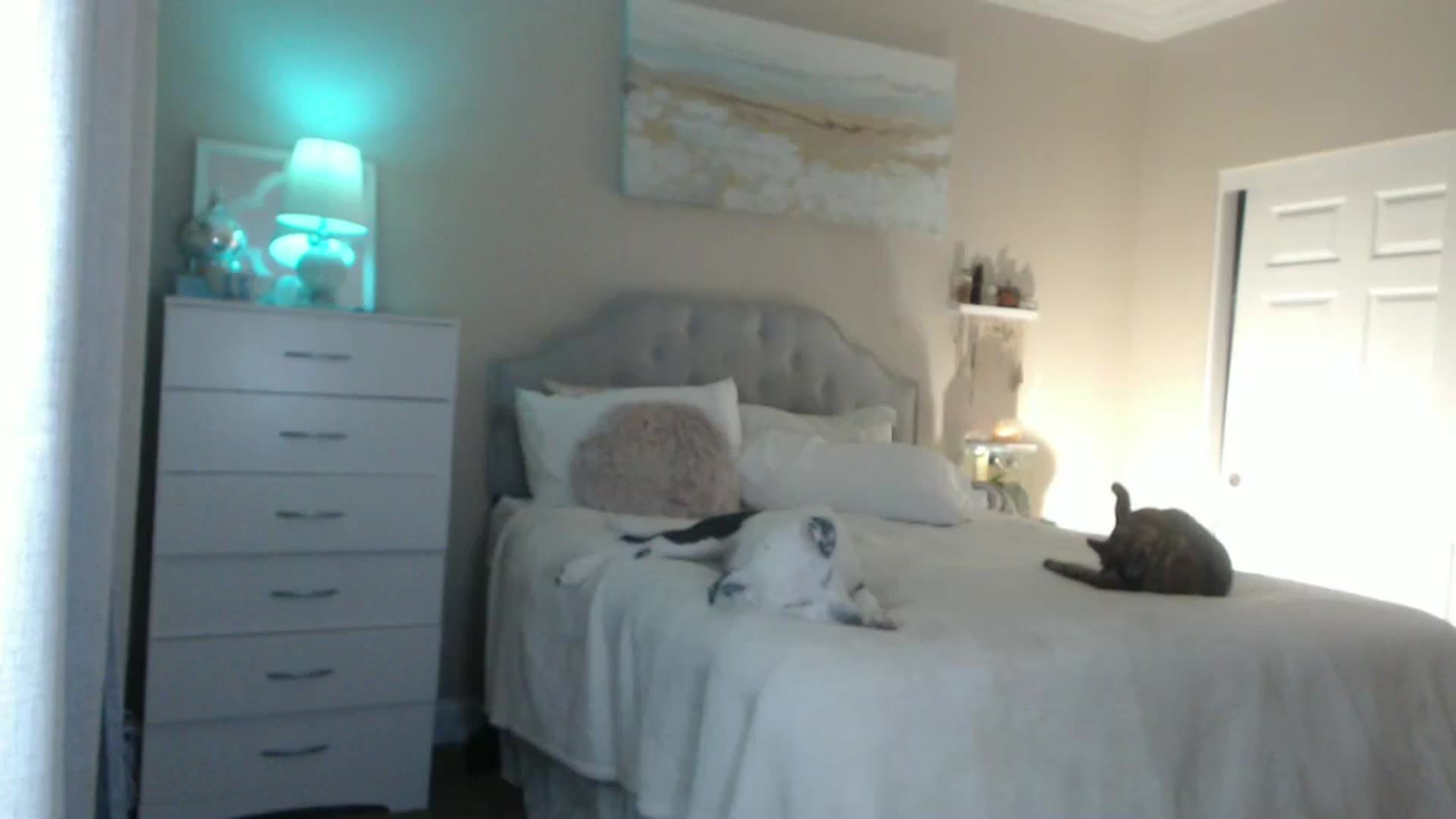 Gallery image thumbnail from Queen_bambii's myfreecams stream on, 05/10/2024, 07:43 image 15 of 20