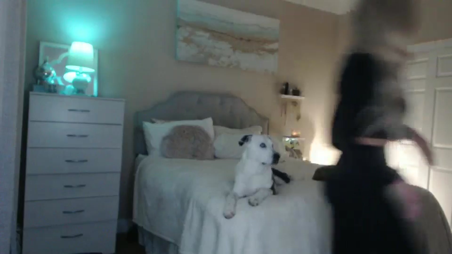 Gallery image thumbnail from Queen_bambii's myfreecams stream on, 05/10/2024, 07:43 image 2 of 20