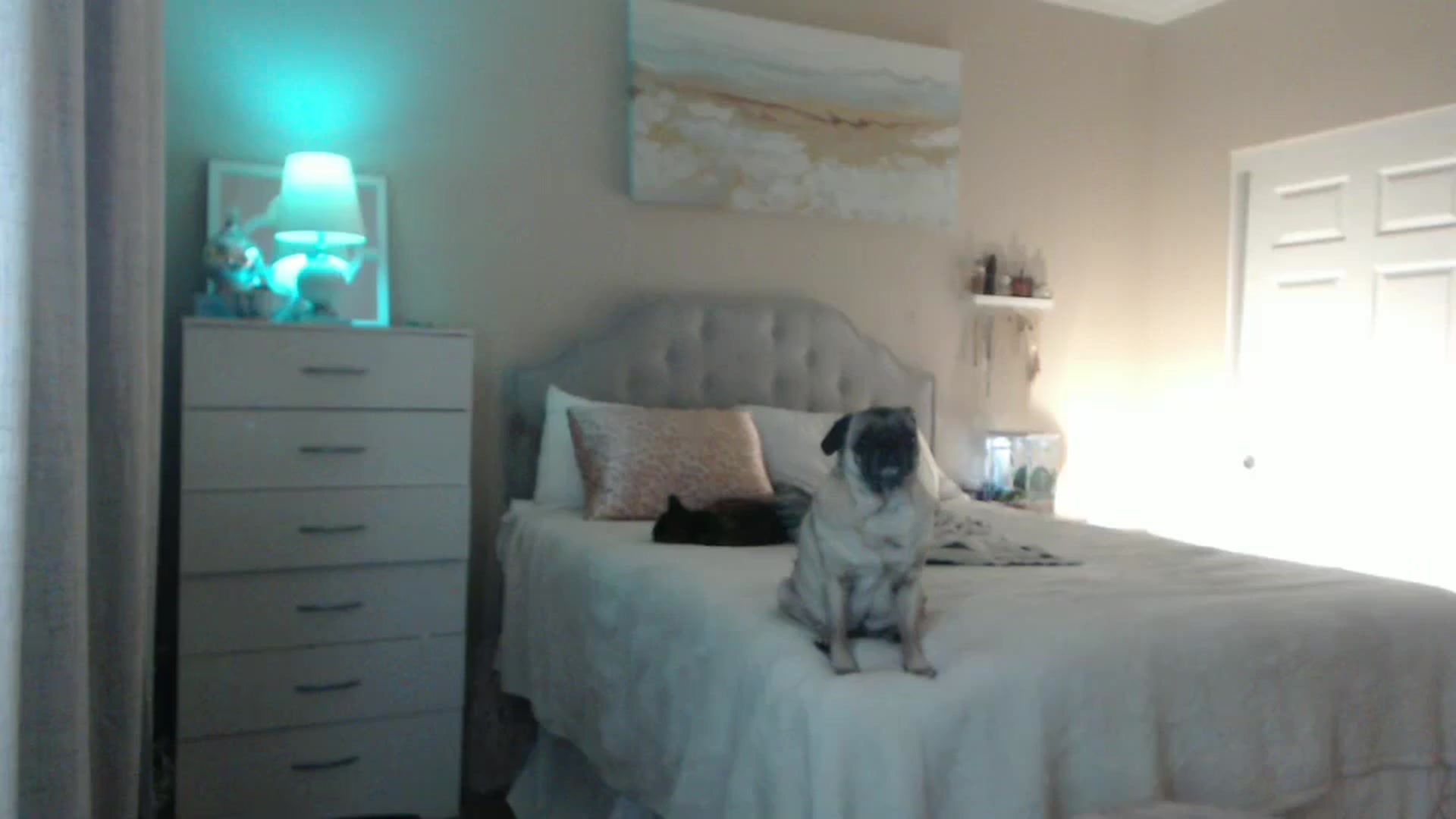 Gallery image thumbnail from Queen_bambii's myfreecams stream on, 05/19/2024, 05:26 image 6 of 20