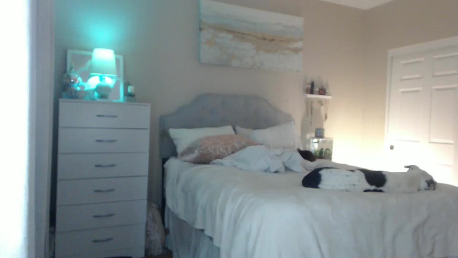 Gallery image thumbnail from Queen_bambii's myfreecams stream on, 06/02/2024, 06:30 image 13 of 20