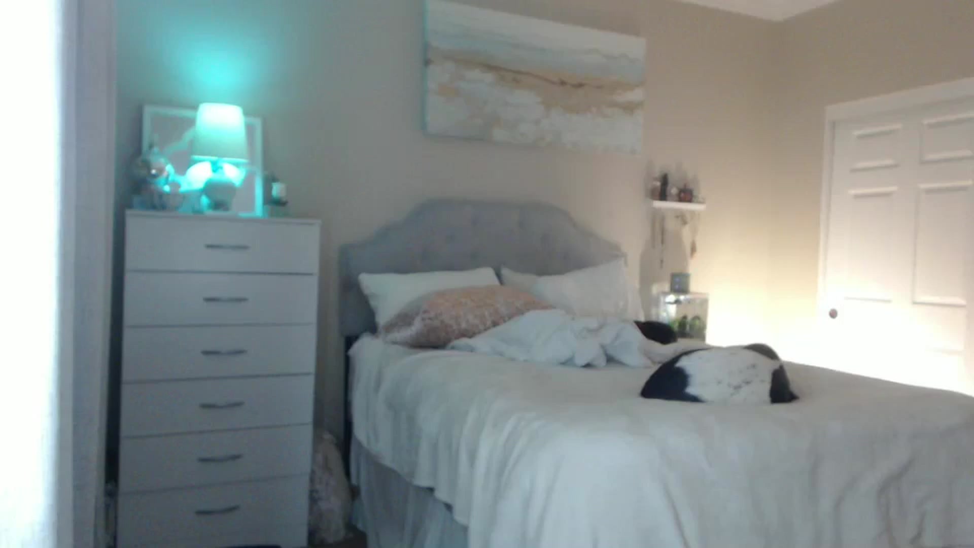 Gallery image thumbnail from Queen_bambii's myfreecams stream on, 06/02/2024, 06:30 image 17 of 20