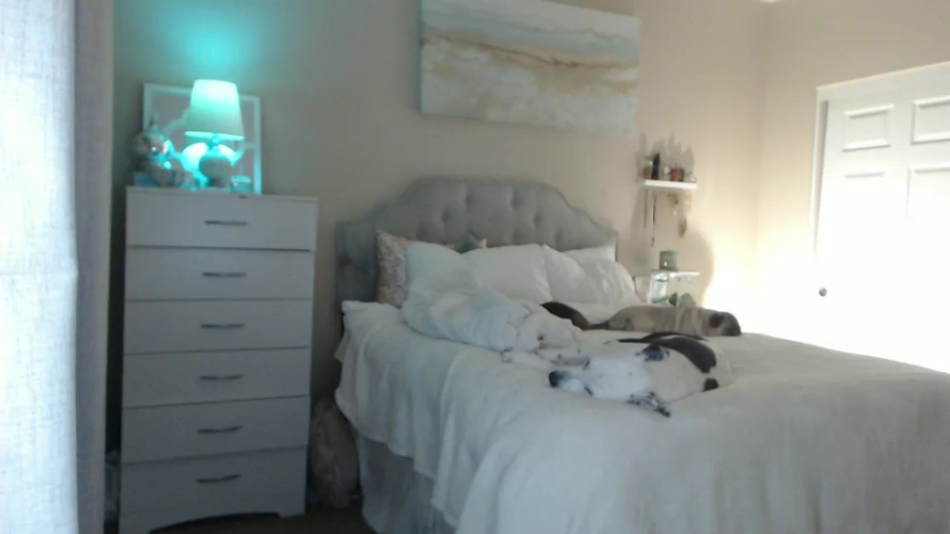 Gallery image thumbnail from Queen_bambii's myfreecams stream on, 06/09/2024, 10:18 image 18 of 20