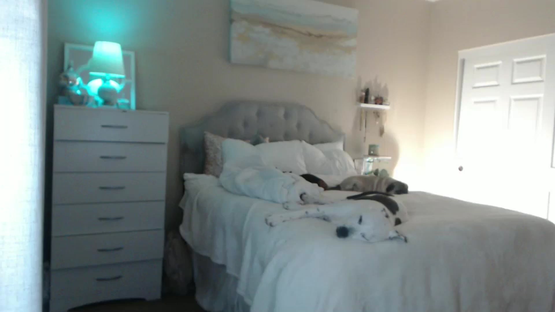 Gallery image thumbnail from Queen_bambii's myfreecams stream on, 06/09/2024, 10:18 image 17 of 20