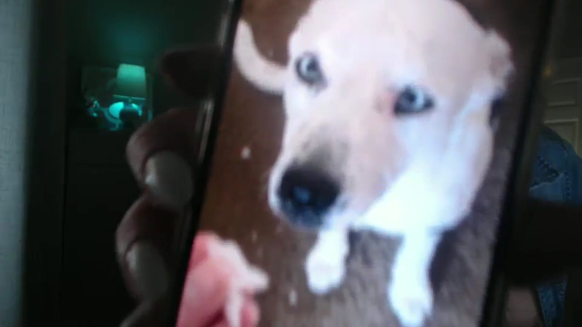 Gallery image thumbnail from Queen_bambii's myfreecams stream on, 06/12/2024, 07:25 image 2 of 20