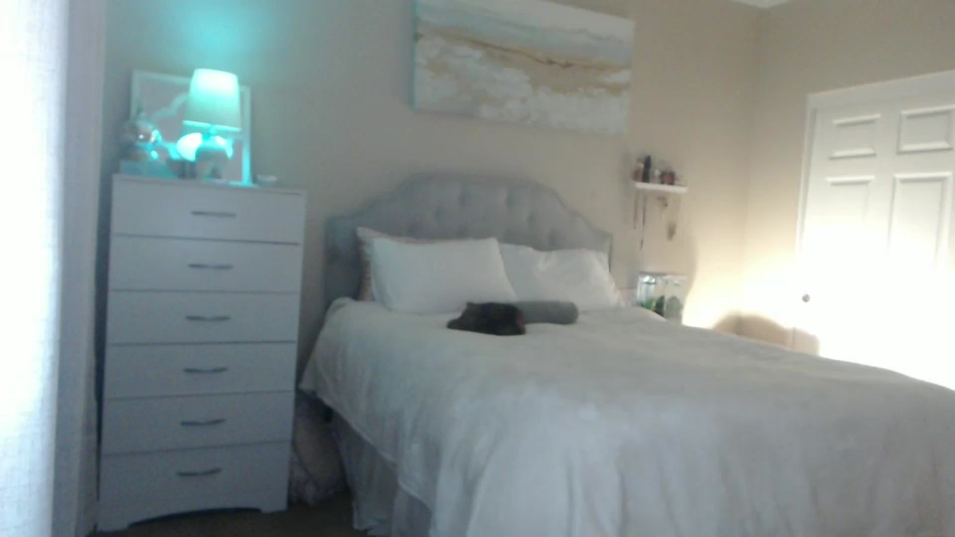 Gallery image thumbnail from Queen_bambii's myfreecams stream on, 06/14/2024, 05:47 image 16 of 20