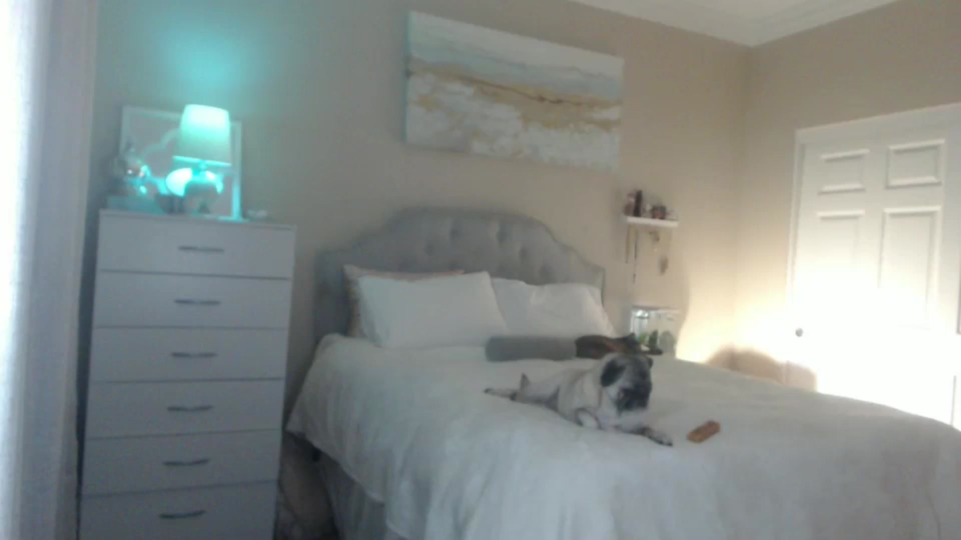 Gallery image thumbnail from Queen_bambii's myfreecams stream on, 06/14/2024, 07:54 image 12 of 20