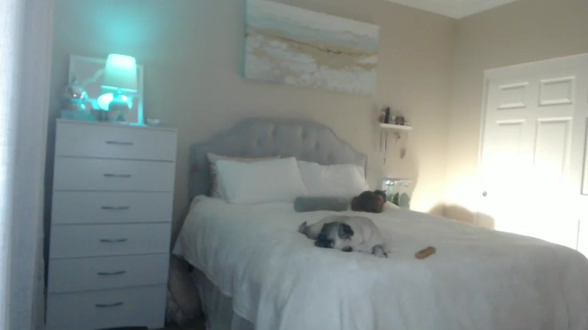 Gallery image thumbnail from Queen_bambii's myfreecams stream on, 06/14/2024, 07:54 image 4 of 20