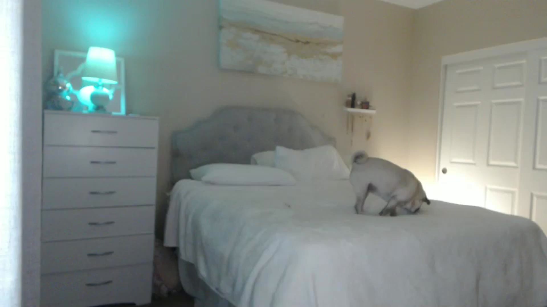 Gallery image thumbnail from Queen_bambii's myfreecams stream on, 06/26/2024, 06:21 image 13 of 20