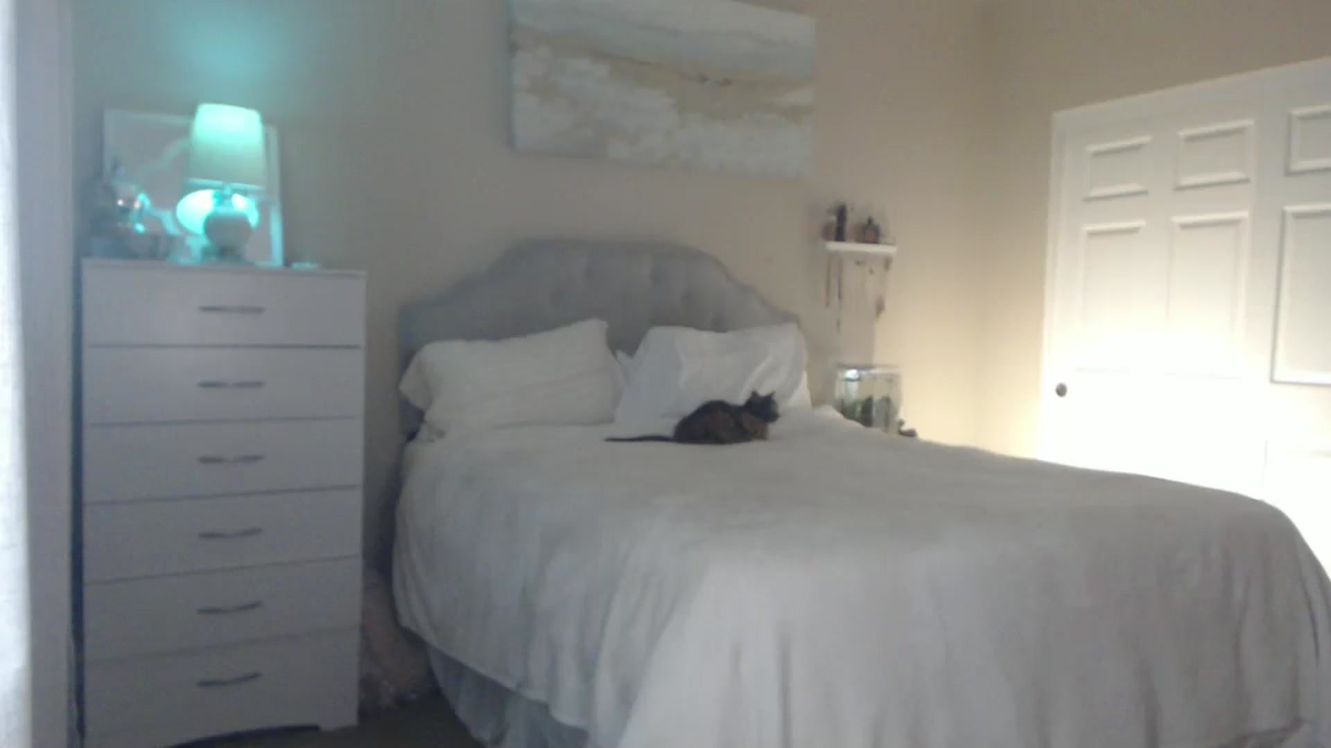 Gallery image thumbnail from Queen_bambii's myfreecams stream on, 06/30/2024, 04:50 image 9 of 20