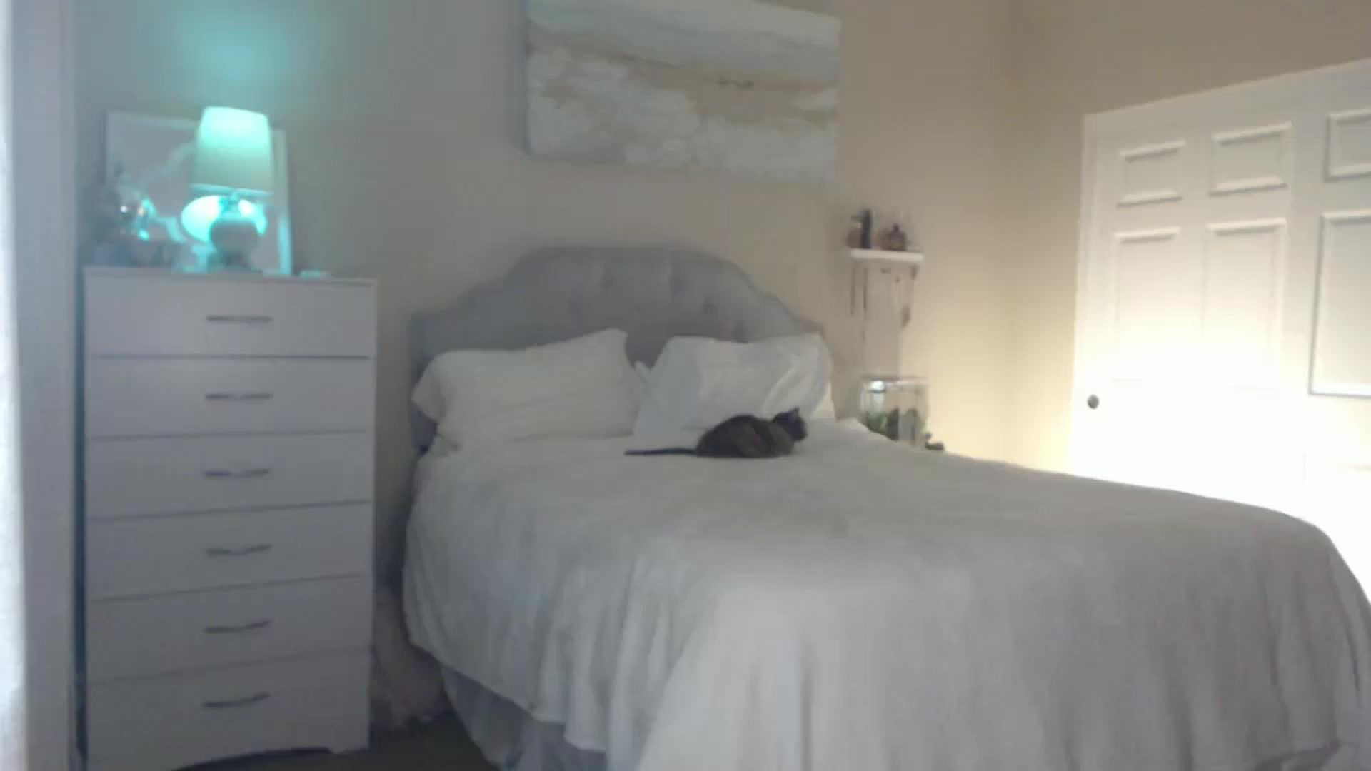 Gallery image thumbnail from Queen_bambii's myfreecams stream on, 06/30/2024, 04:50 image 13 of 20