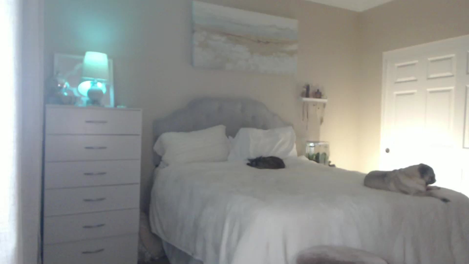 Gallery image thumbnail from Queen_bambii's myfreecams stream on, 06/30/2024, 07:42 image 6 of 20