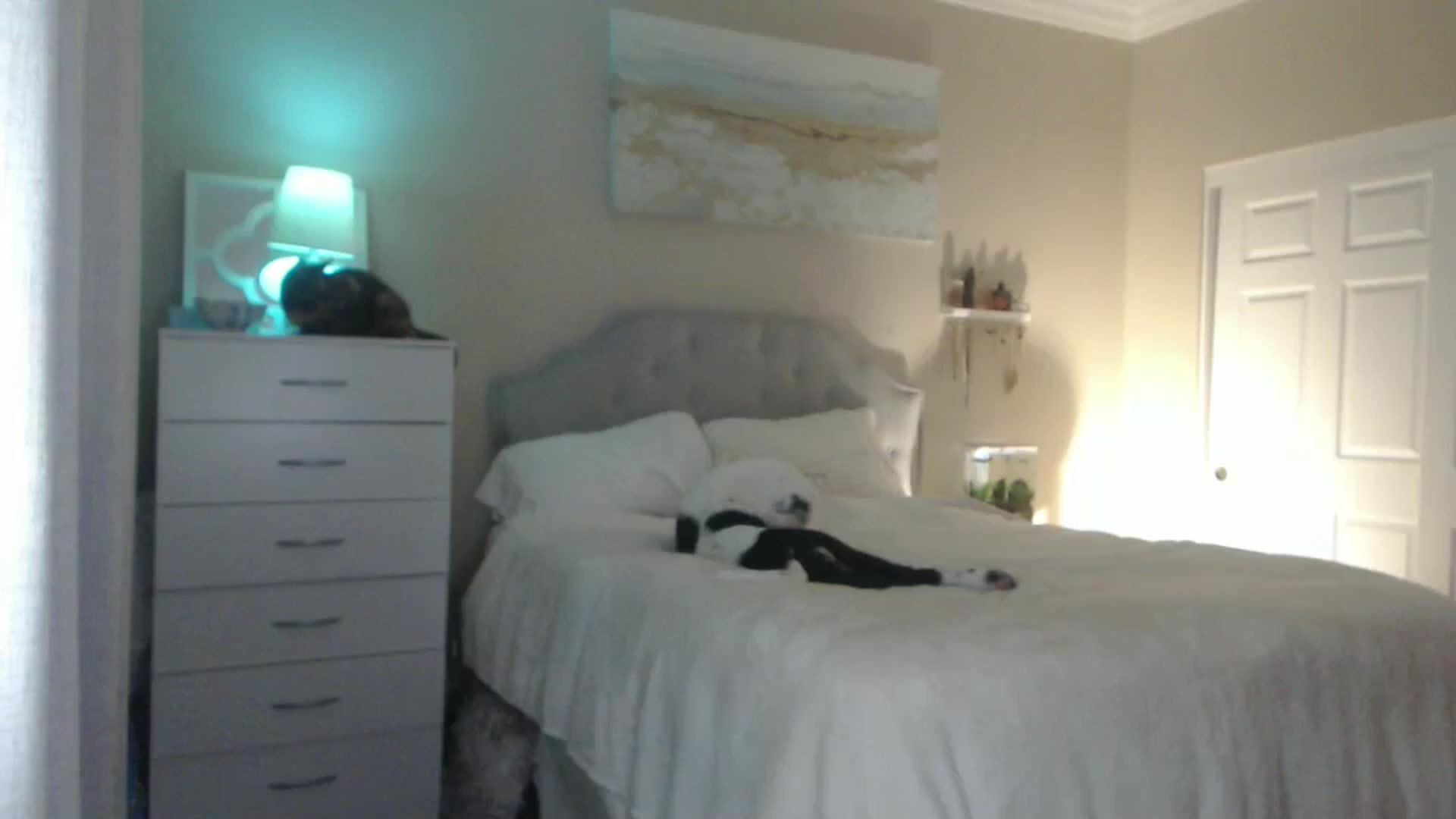 Gallery image thumbnail from Queen_bambii's myfreecams stream on, 07/04/2024, 07:32 image 2 of 20
