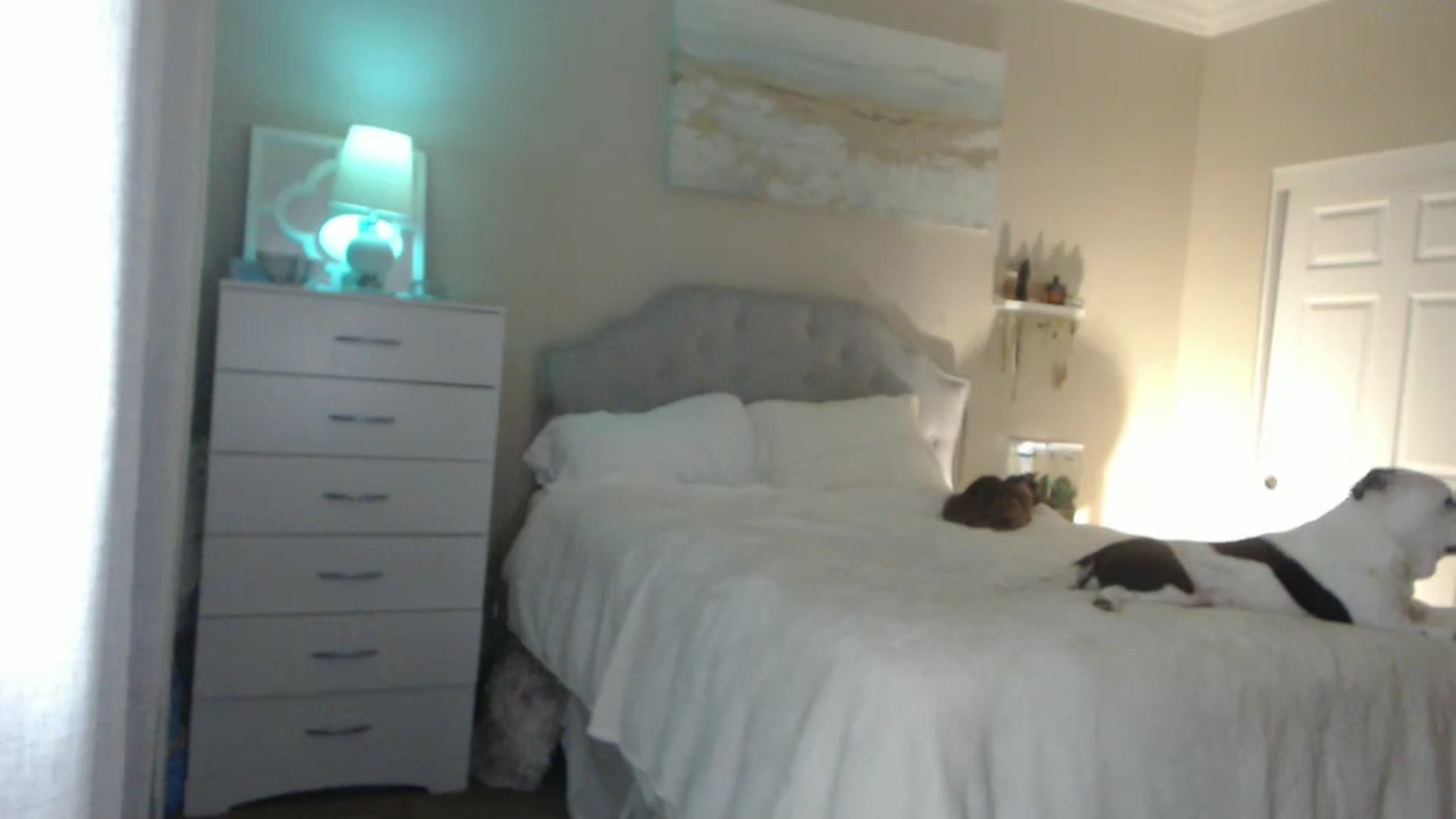 Gallery image thumbnail from Queen_bambii's myfreecams stream on, 07/04/2024, 08:55 image 18 of 20
