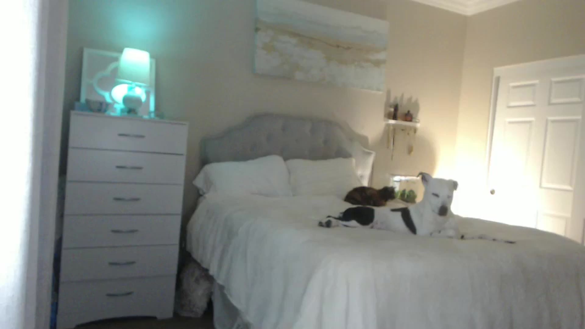 Gallery image thumbnail from Queen_bambii's myfreecams stream on, 07/04/2024, 08:55 image 6 of 20