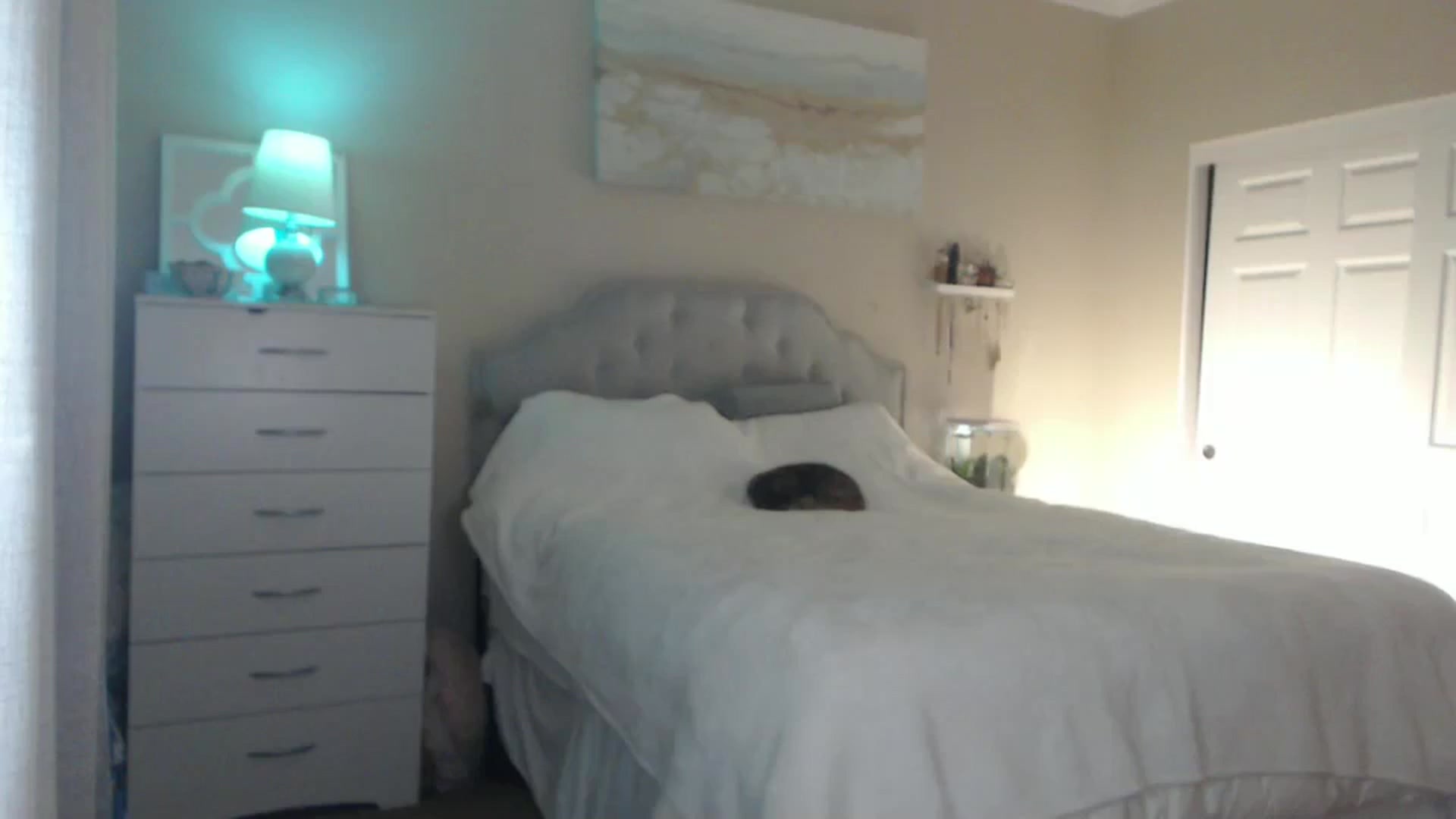 Gallery image thumbnail from Queen_bambii's myfreecams stream on, 07/09/2024, 05:02 image 4 of 20