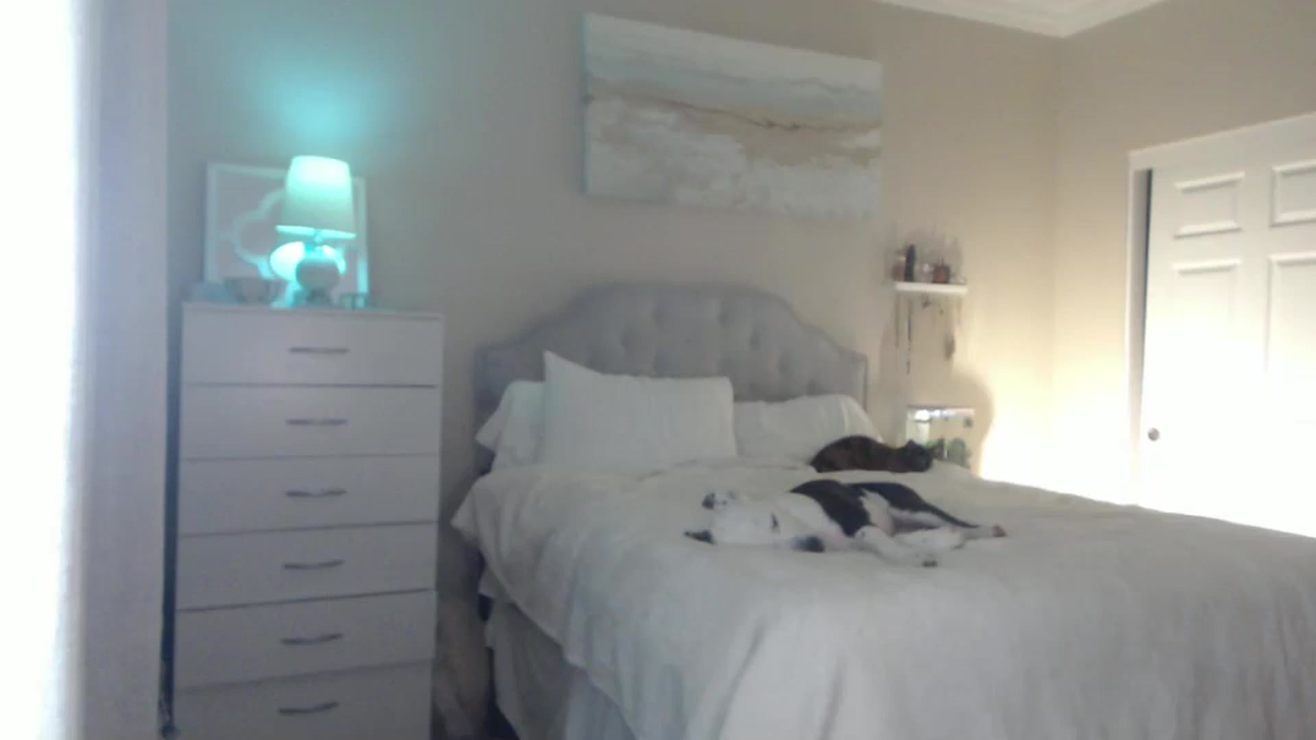 Gallery image thumbnail from Queen_bambii's myfreecams stream on, 07/12/2024, 04:59 image 9 of 20