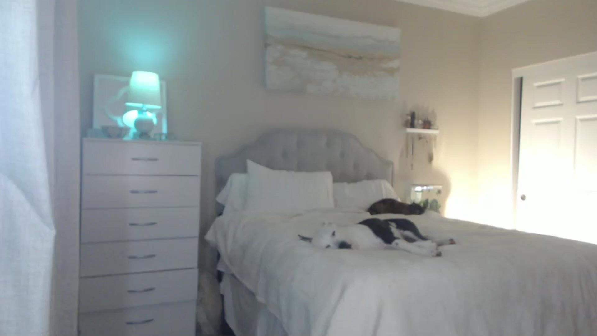 Gallery image thumbnail from Queen_bambii's myfreecams stream on, 07/12/2024, 04:59 image 14 of 20