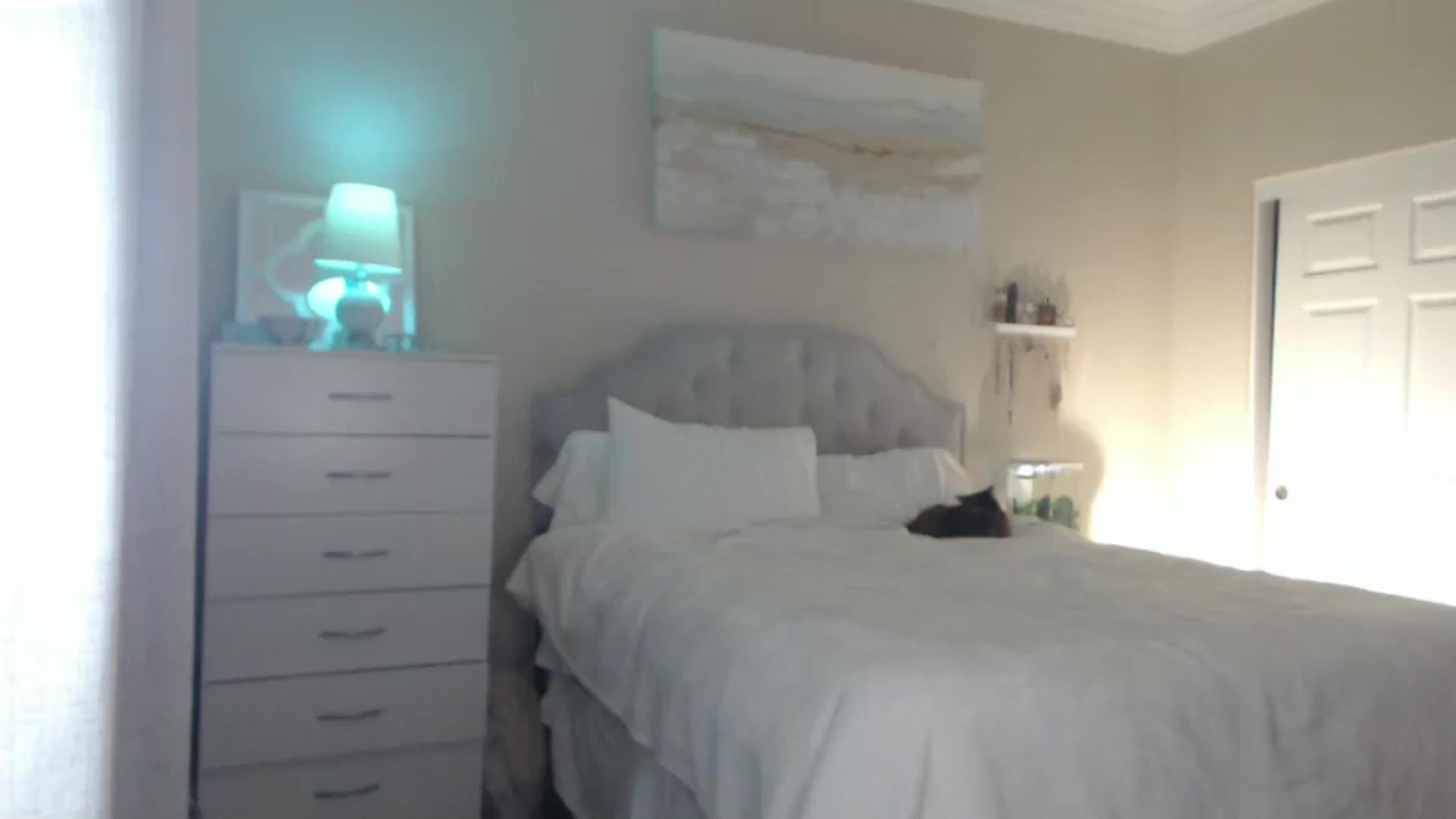 Gallery image thumbnail from Queen_bambii's myfreecams stream on, 07/12/2024, 06:02 image 13 of 20