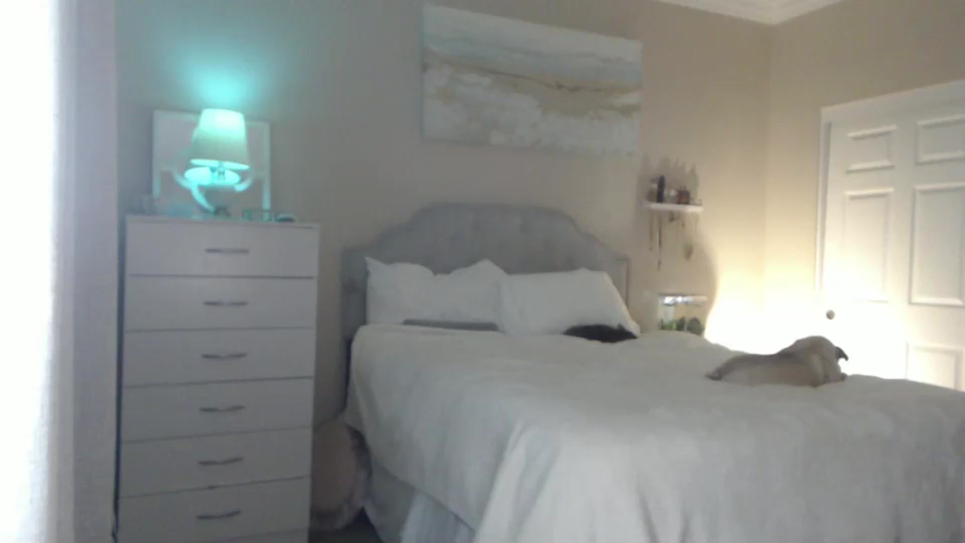 Gallery image thumbnail from Queen_bambii's myfreecams stream on, 07/17/2024, 07:29 image 4 of 20