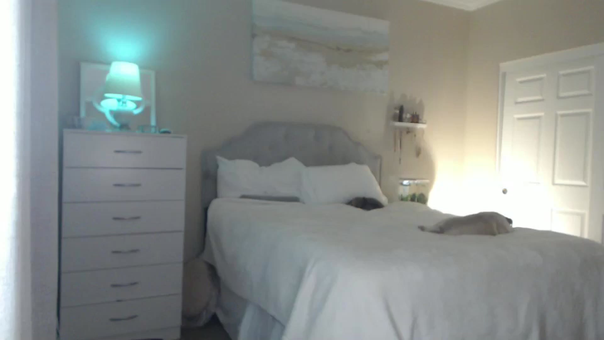 Gallery image thumbnail from Queen_bambii's myfreecams stream on, 07/17/2024, 08:19 image 5 of 20