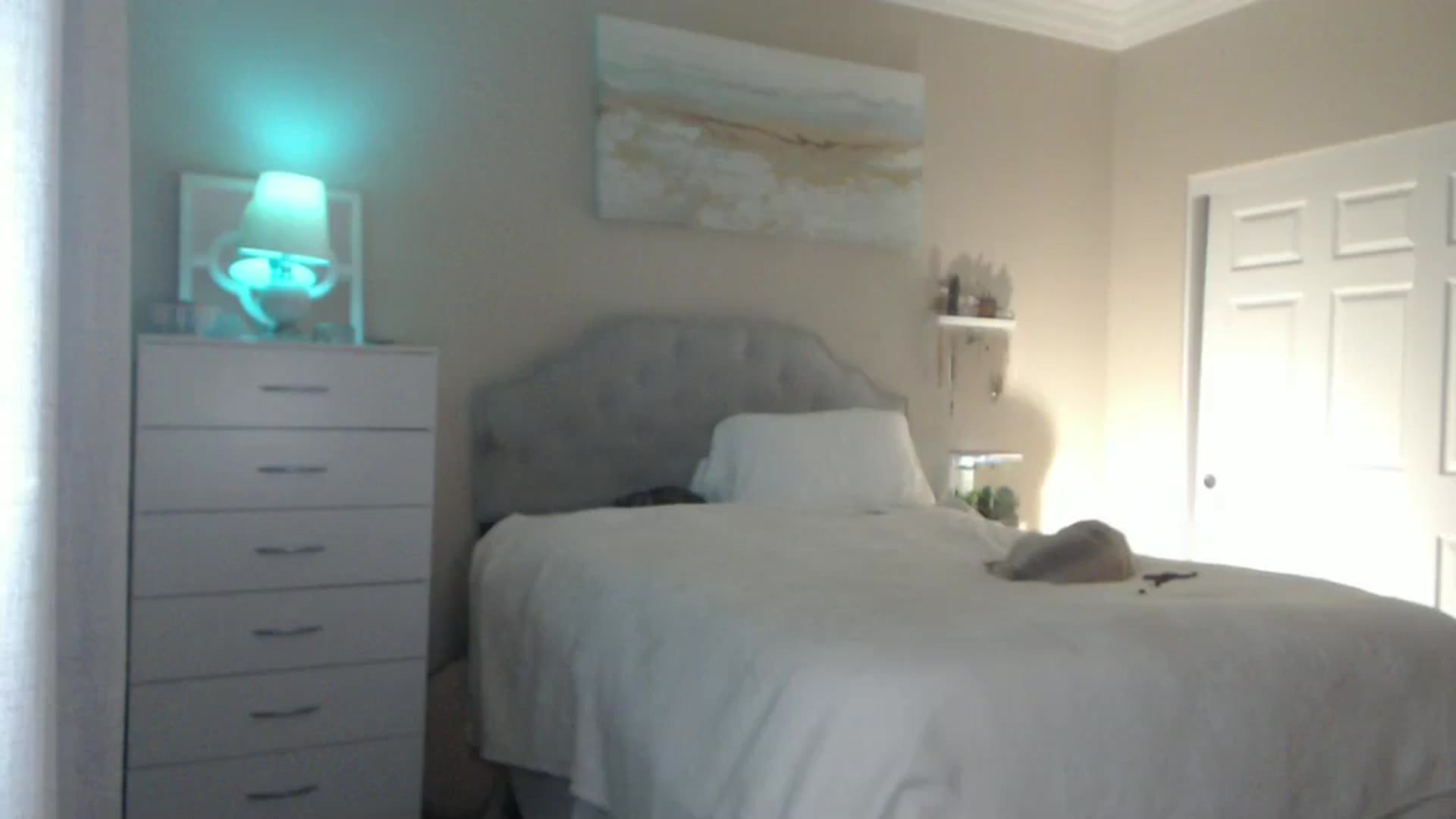 Gallery image thumbnail from Queen_bambii's myfreecams stream on, 07/19/2024, 05:53 image 2 of 20