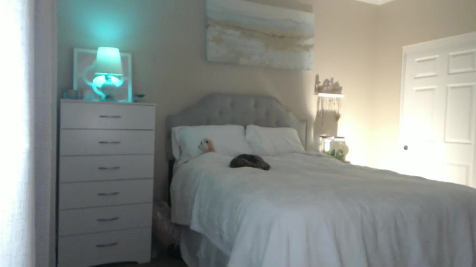 Gallery image thumbnail from Queen_bambii's myfreecams stream on, 08/07/2024, 05:40 image 17 of 20