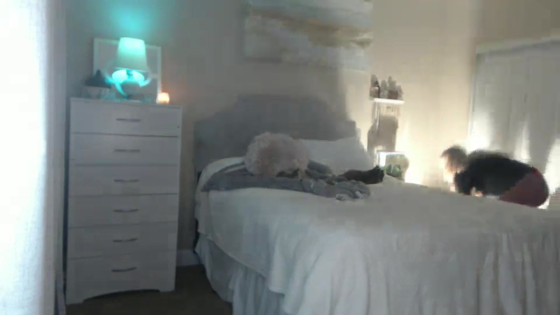 Gallery image thumbnail from Queen_bambii's myfreecams stream on, 08/22/2024, 07:47 image 7 of 20
