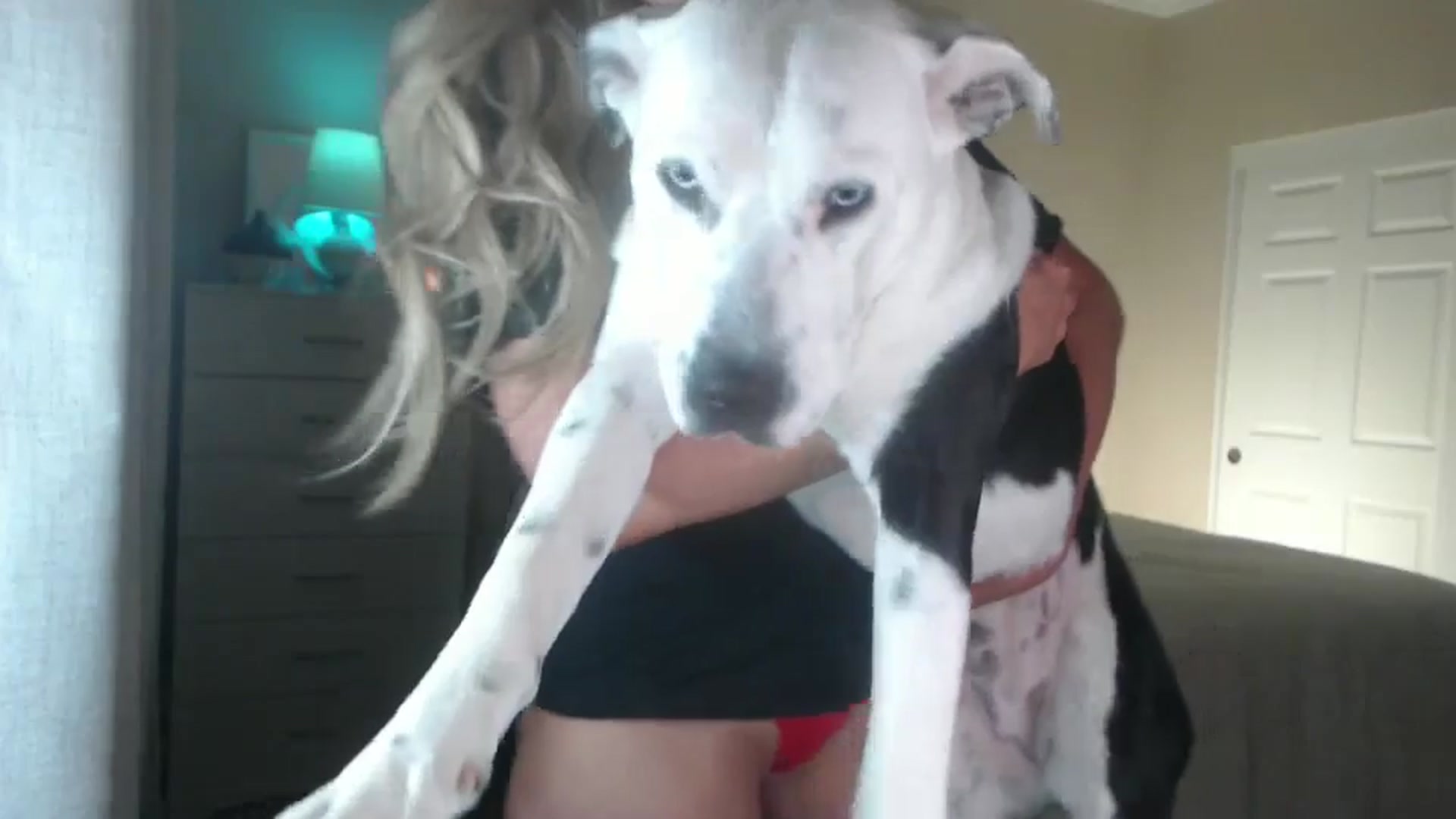 Gallery image thumbnail from Queen_bambii's myfreecams stream on, 08/22/2024, 07:47 image 3 of 20