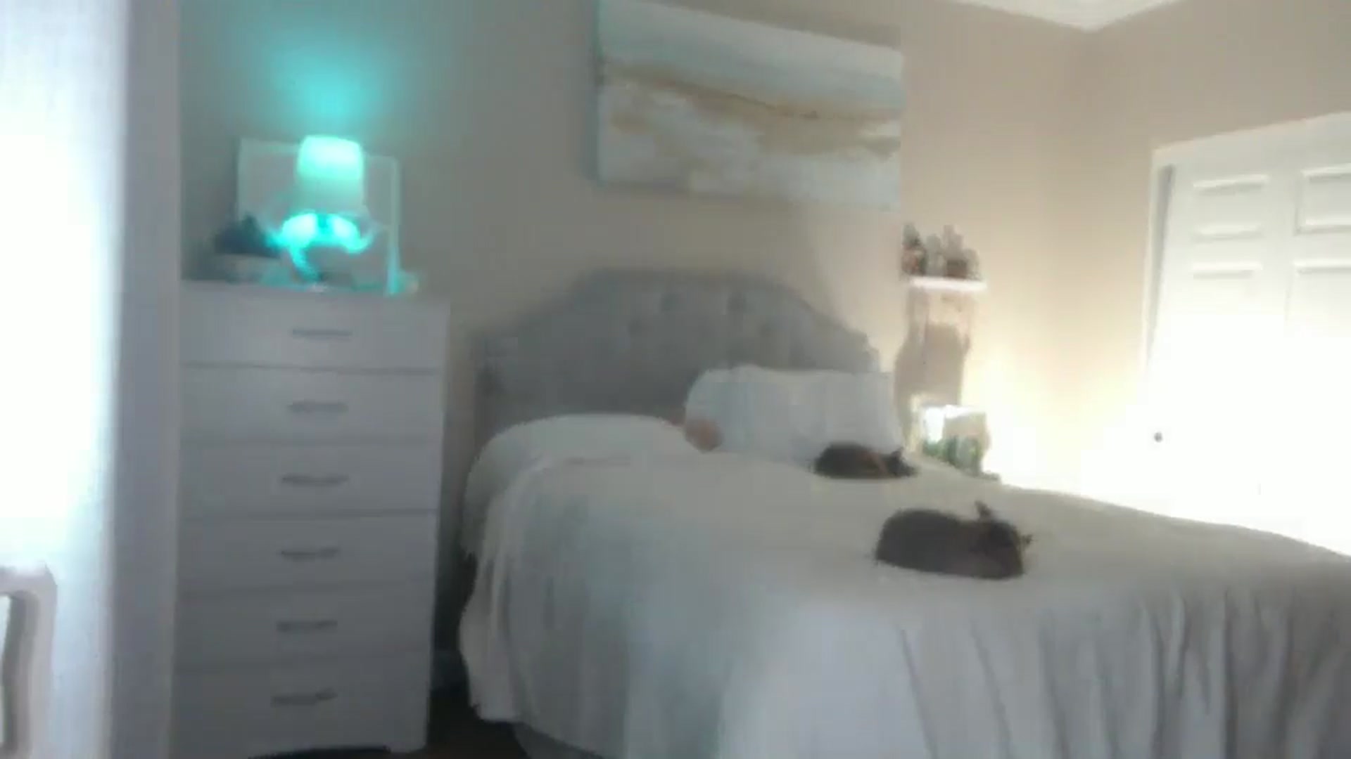 Gallery image thumbnail from Queen_bambii's myfreecams stream on, 08/24/2024, 07:21 image 16 of 20