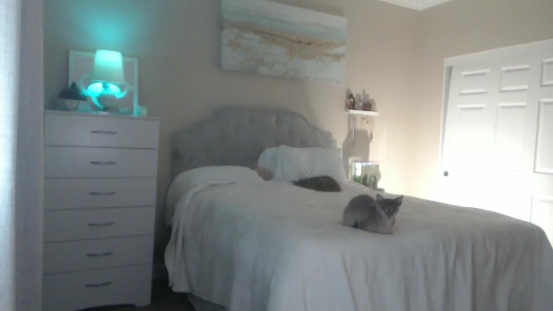 Gallery image thumbnail from Queen_bambii's myfreecams stream on, 08/24/2024, 07:21 image 10 of 20