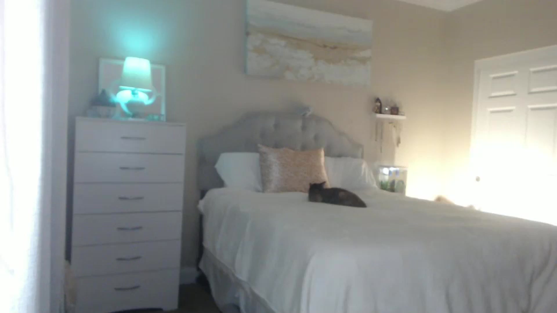 Gallery image thumbnail from Queen_bambii's myfreecams stream on, 08/29/2024, 07:45 image 19 of 20