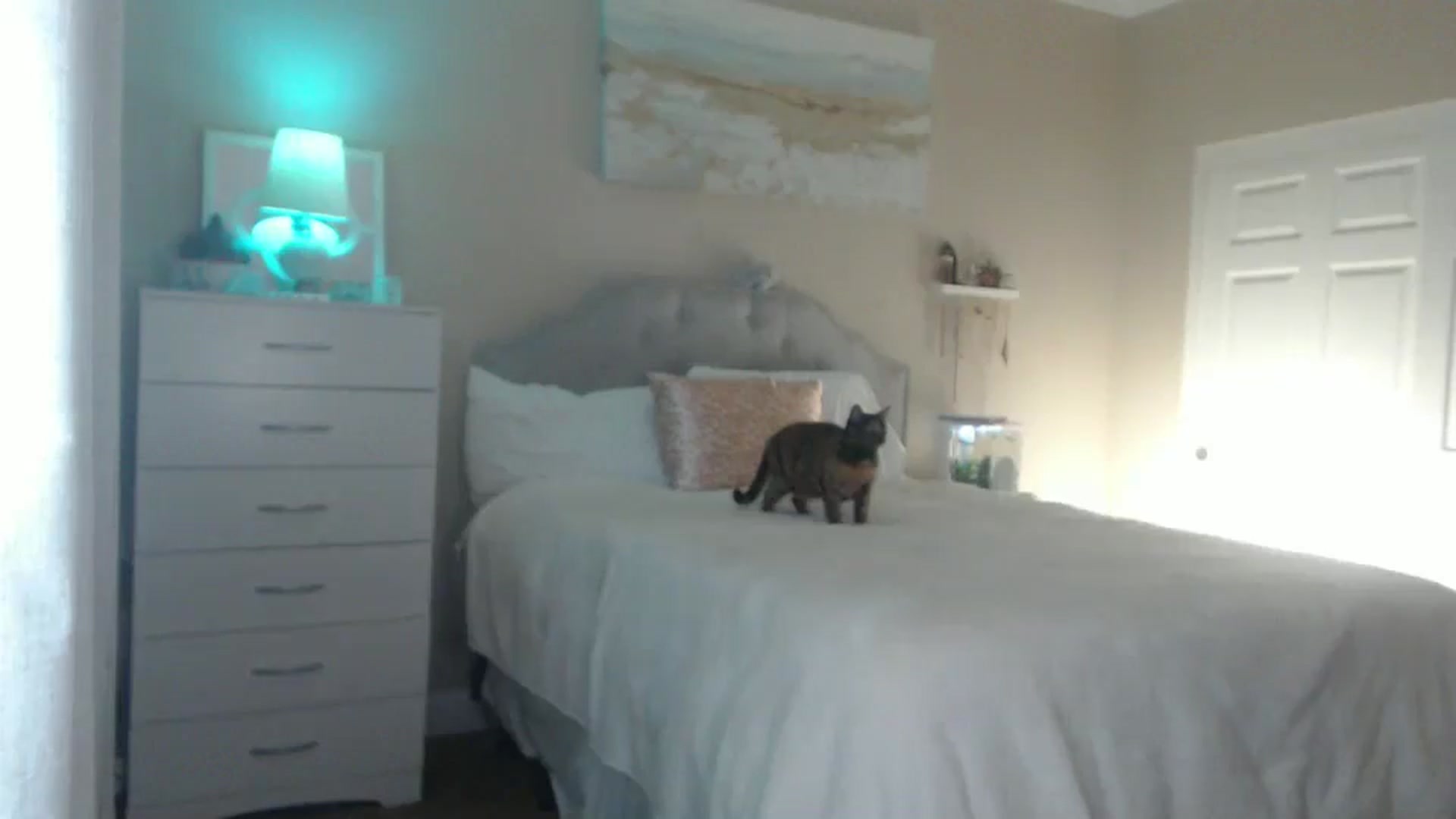 Gallery image thumbnail from Queen_bambii's myfreecams stream on, 09/07/2024, 07:27 image 7 of 20