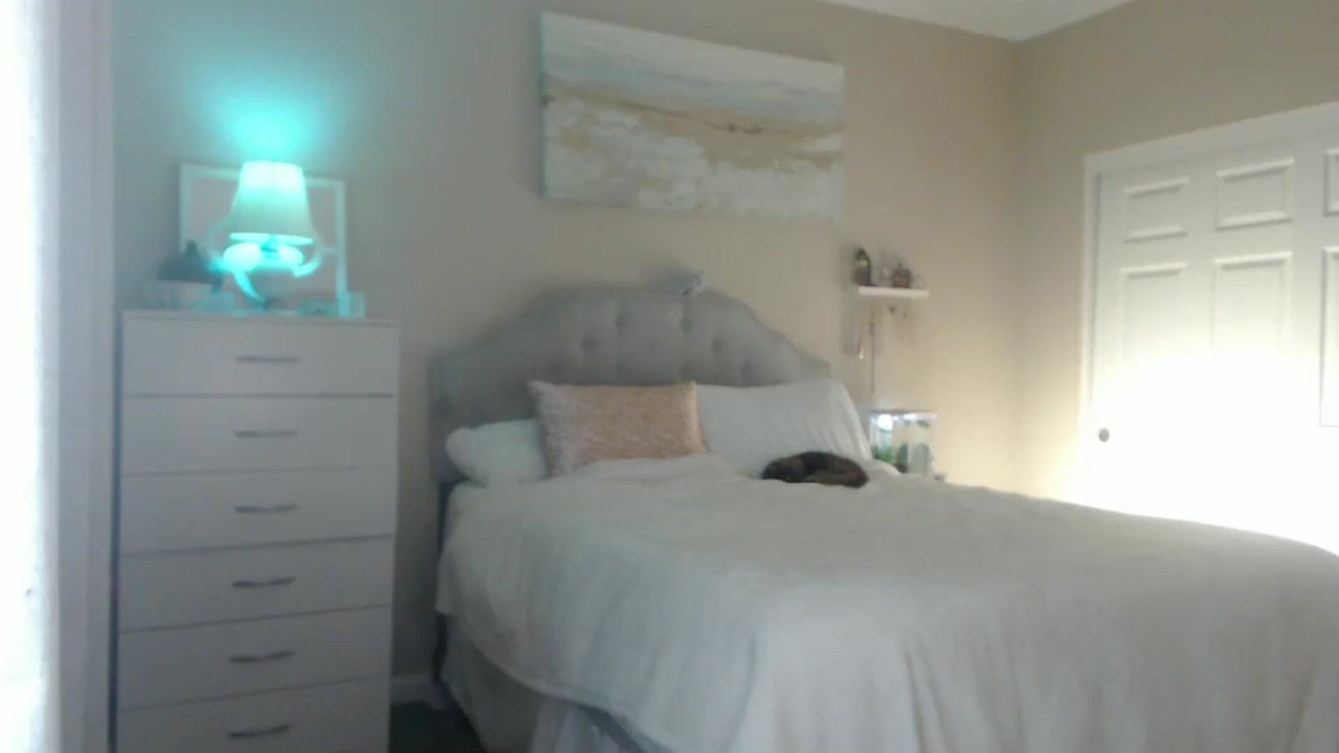 Gallery image thumbnail from Queen_bambii's myfreecams stream on, 09/13/2024, 05:51 image 2 of 20