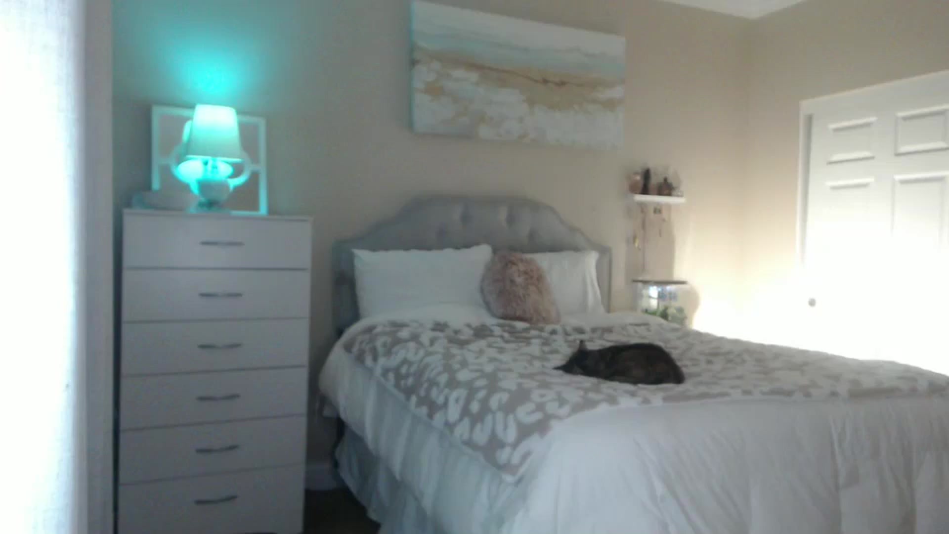 Gallery image thumbnail from Queen_bambii's myfreecams stream on, 11/03/2024, 05:31 image 12 of 20